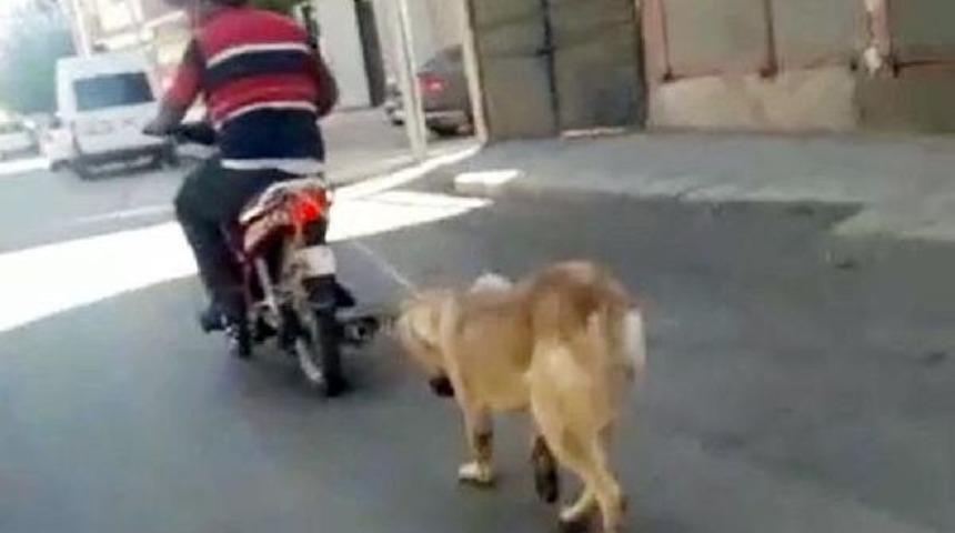 Motosikletine Iple Bağladığı K&ouml;peği Koşturdu