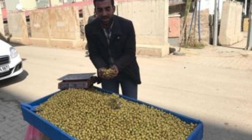 Kış Mevsiminin Habercisi Alı&ccedil; Tezgahlardaki Yerini Aldı