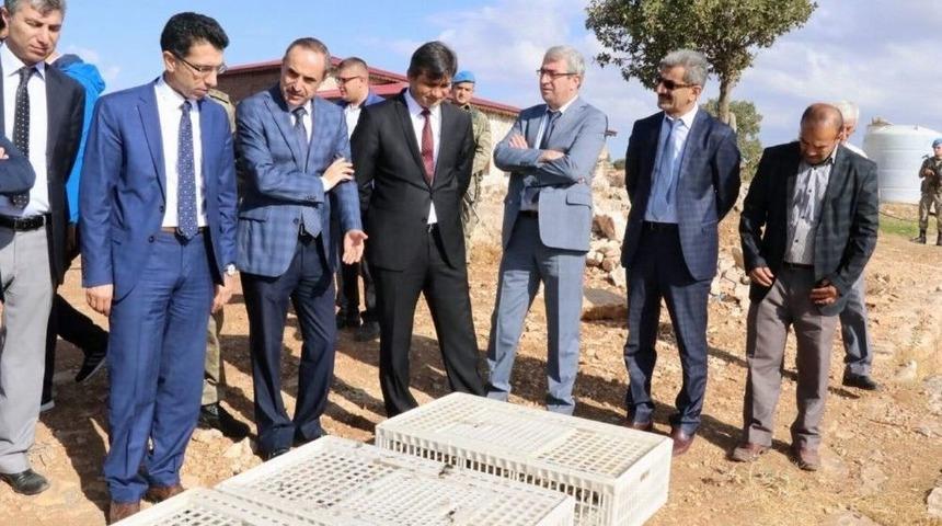 Siirt&rsquo;te Kınalı Keklikler Doğayla Buluştu