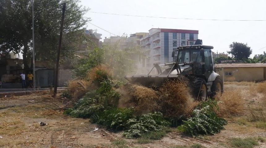 Akdeniz&rsquo;de Temizlik &Ccedil;alışmaları Hız Kazandı