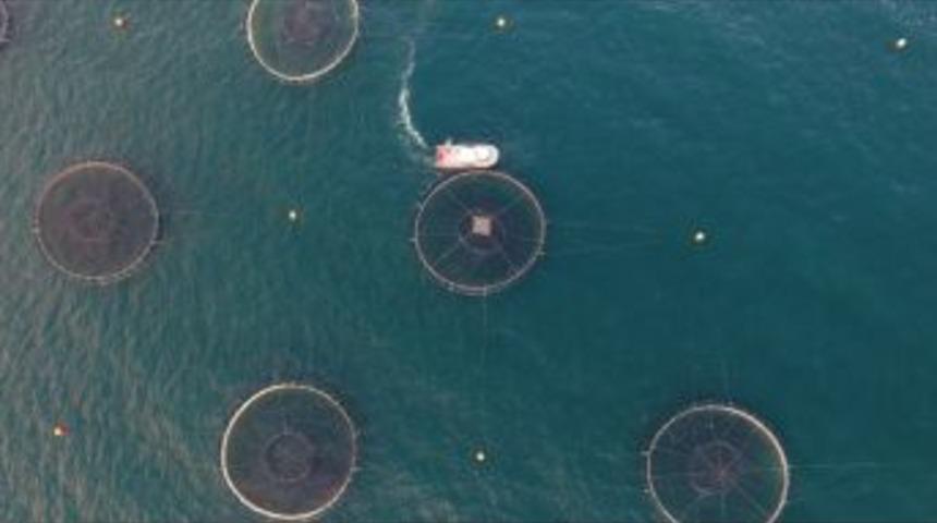 Başkan Erg&uuml;l&rsquo;den Balık Kafesleri Eleştirisi