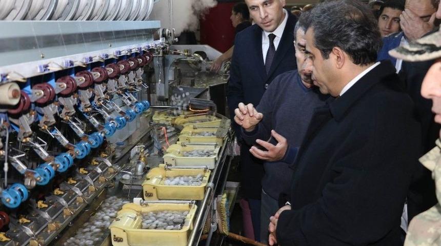 İpek B&ouml;cek&ccedil;iliğinde T&uuml;rkiye &Uuml;retiminin Yarısı Diyarbakır&rsquo;ın Kulp İl&ccedil;esinden