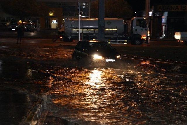 Suyun Altında Kendi Aracının Plakasını Ararken 12 Farklı Plaka Buldu