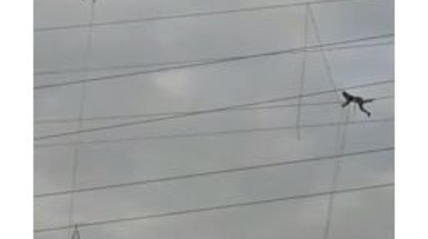 (&ouml;zel) &rsquo;&ouml;r&uuml;mcek Adam&rsquo;ı Andıran İş&ccedil;iler Kamerada