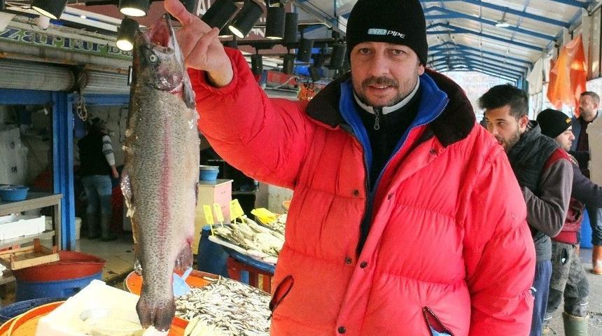 (özel Haber) 2017’de Balıkçılar Denizi Adeta Kuruttu