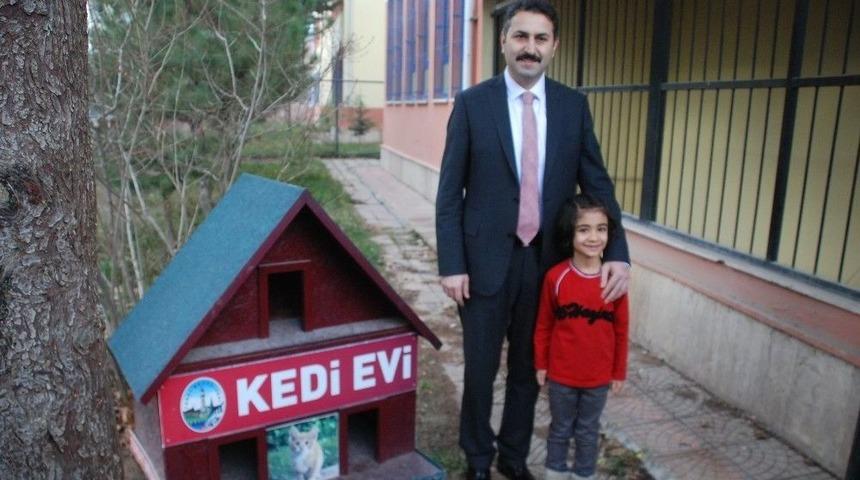 Sosyal Medyadan &rsquo;kediler &Uuml;ş&uuml;mesin&rsquo; Diye Ev İstedi