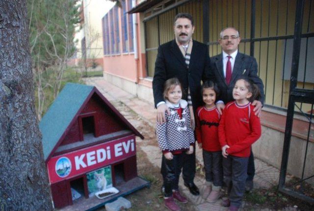 Sosyal Medyadan ’kediler Üşümesin’ Diye Ev İstedi