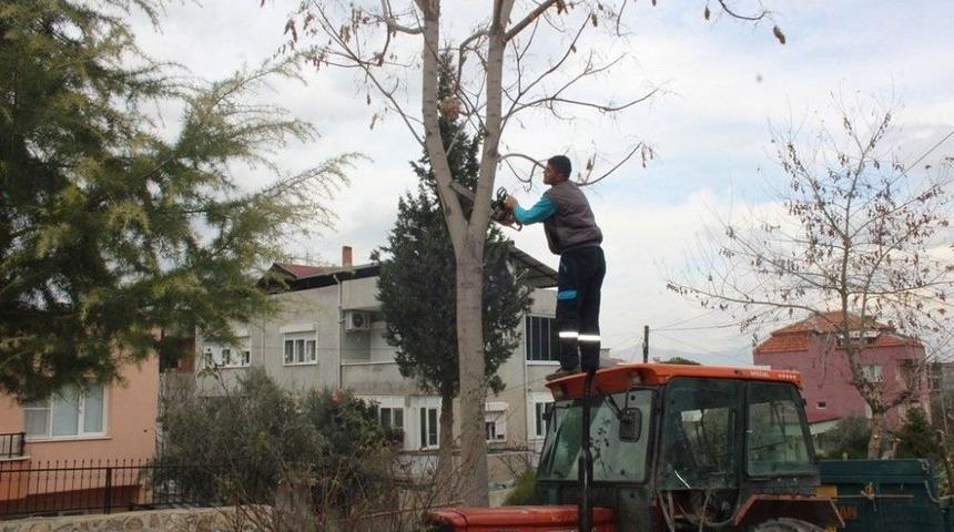 Alaşehir Belediyesinden İhtiya&ccedil; Sahibi Ailelere Yardım Eli
