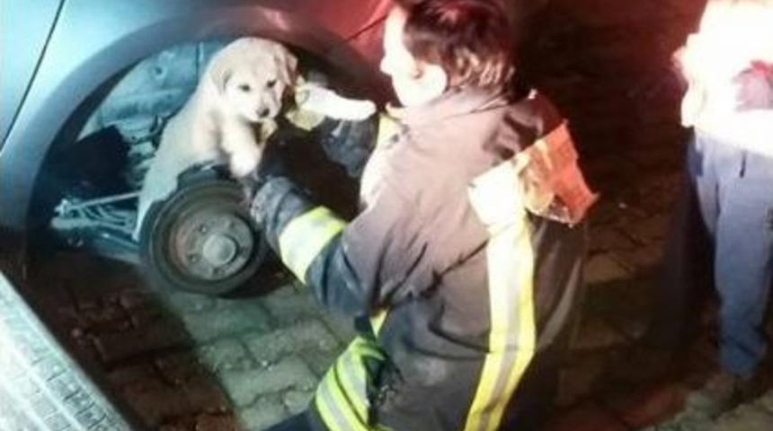 Yavru K&ouml;pek Aracın Lastiği S&ouml;k&uuml;lerek Kurtarıldı