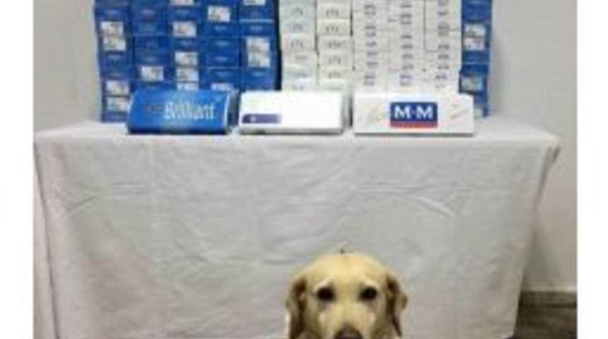 Kilis’te 2 Bin 500 Paket Kaçak Sigara Yakalandı