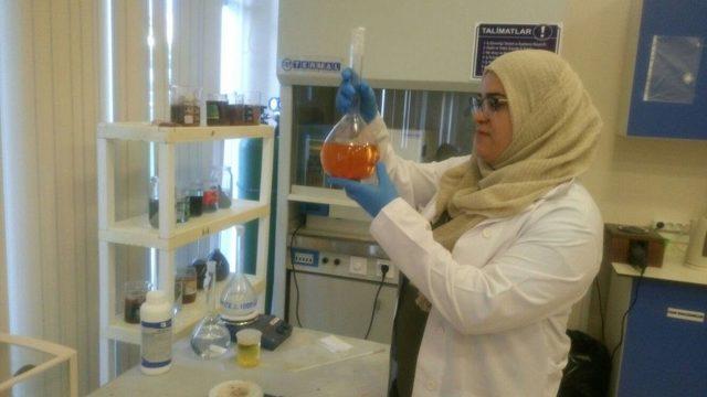 Araştırma Laboratuvarı Yabancı Akademisyenleri Ağırladı