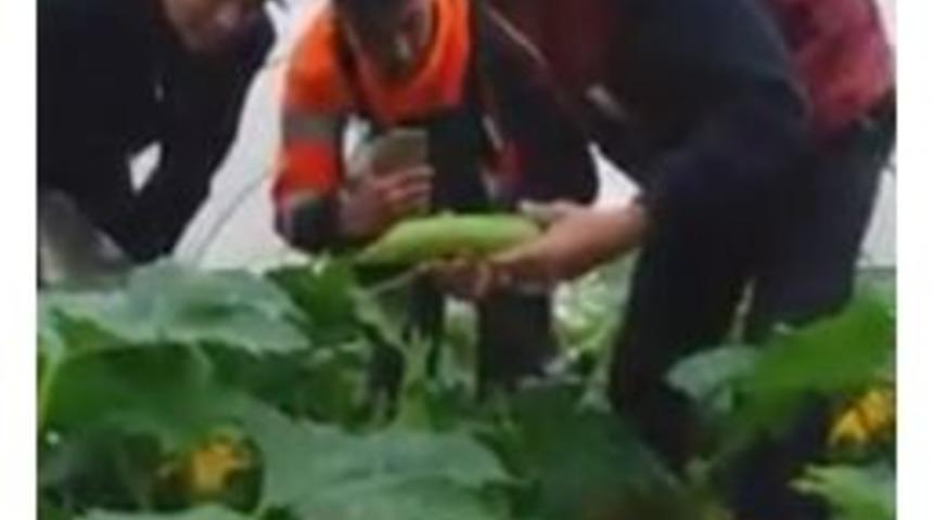 Serasını Su Basan &Ccedil;ift&ccedil;ilerden Sitem Dolu Şarkı