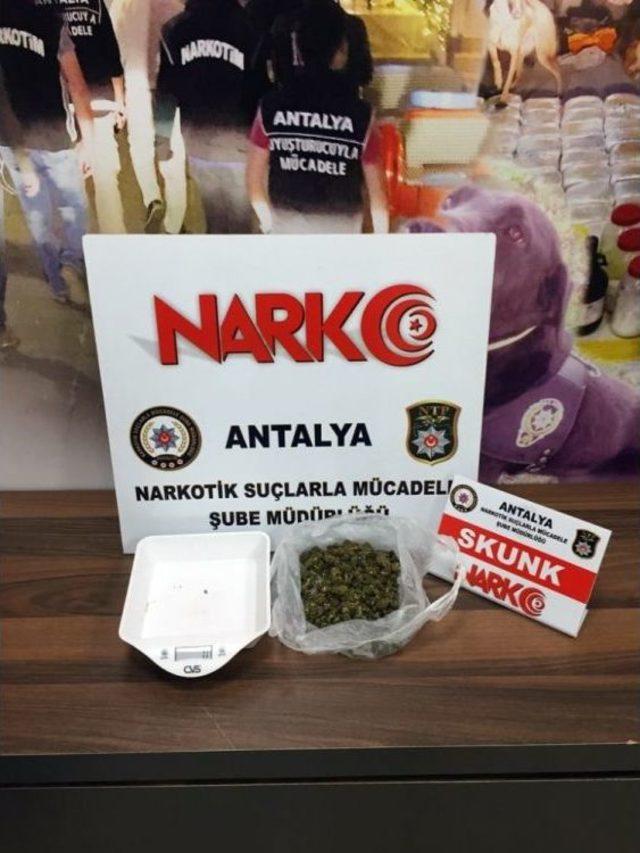 Antalya’da Uyuşturucu Baskını: 8 Gözaltı