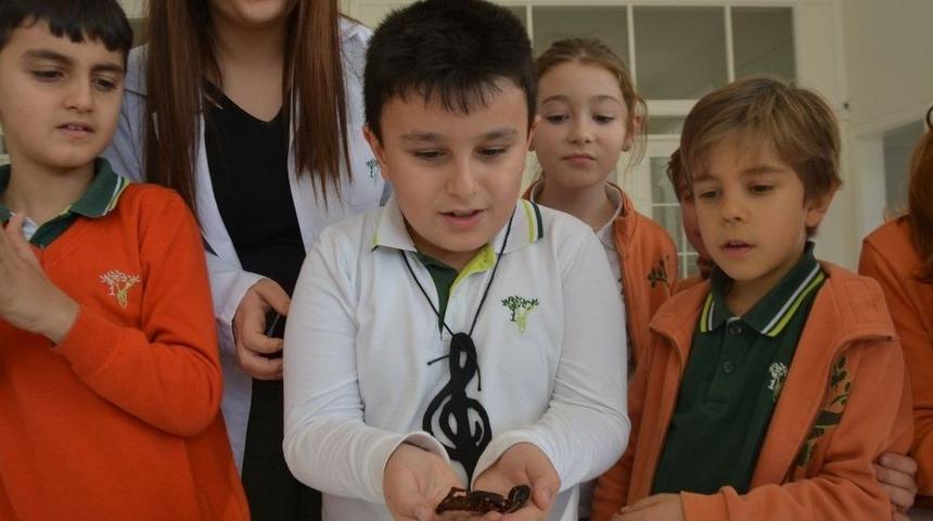 &Ccedil;ocuklar B&ouml;ceklerle Tanıştı