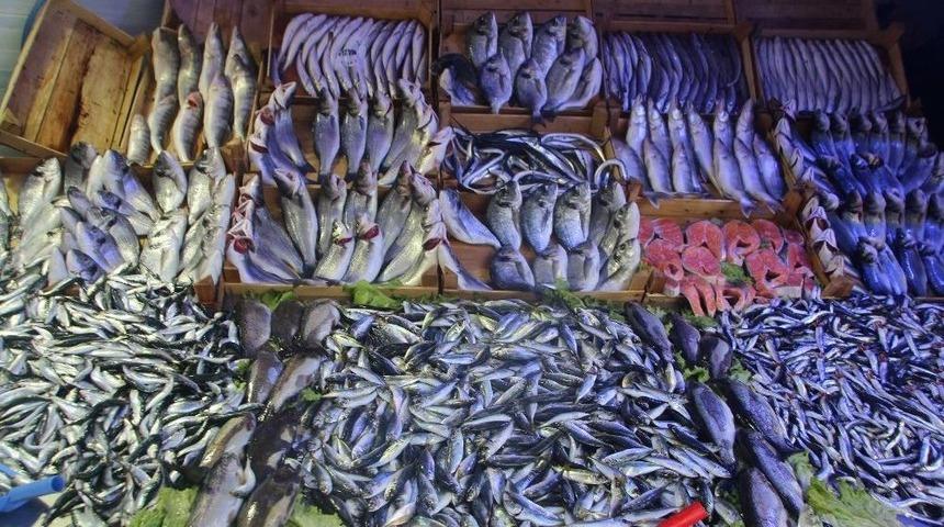 Balık Az, Fiyatı &Ccedil;ok