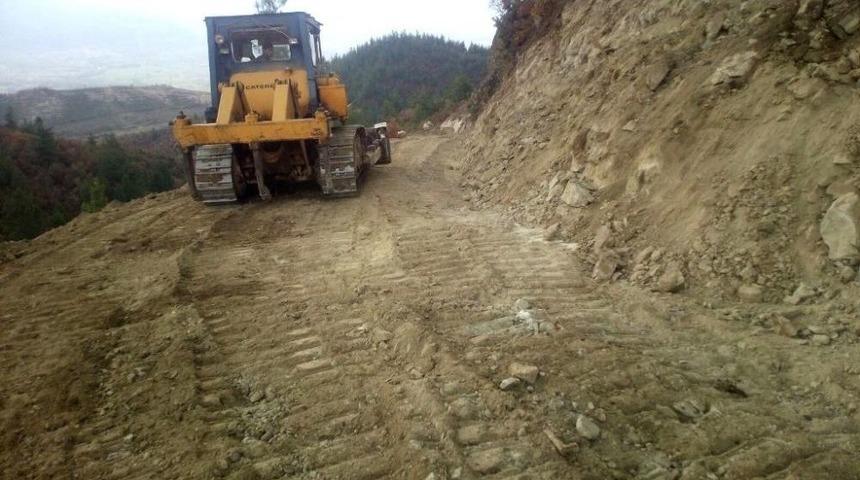 Kütahya’ya Yeni Orman Yolları