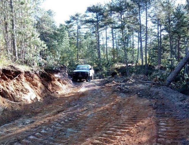 Kütahya’ya Yeni Orman Yolları