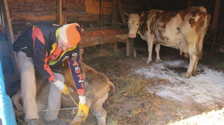 Şarbon Geri D&ouml;nd&uuml;