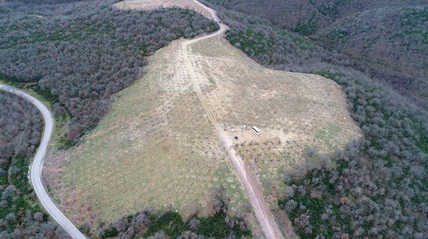 Sepetçi Köyü’ne 2 Bin 300 Ağaç