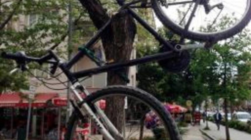 Bisikleti Ağaca Astı