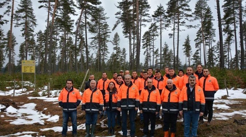 Karacabey: "vezirk&ouml;pr&uuml; Ağa&ccedil; T&uuml;r&uuml; Bakımından Zengin Bir B&ouml;lge"