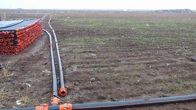 (&ouml;zel Haber) Diyarbakır Ve &Ccedil;evresinde Kuraklık Tehlikesi 3