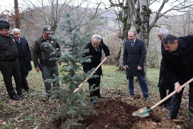 Şehit Jandarma Uzman Onbaşı Cem Kanbur Yeni Yapılan Kabri Başında Dualarla Anıldı