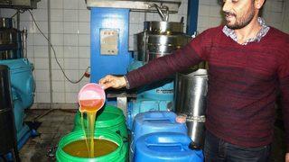 Zeytin Ve Zeytinyağı Üreticilerinin Yüzü Gülüyor