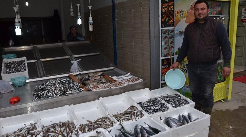 Fatsa&rsquo;da Balık Fiyatları G&uuml;nl&uuml;k Değişiyor