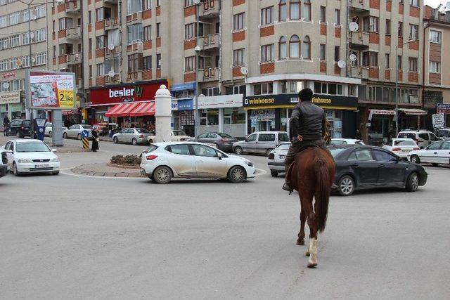 Trafik Çilesine Atlı Çözüm