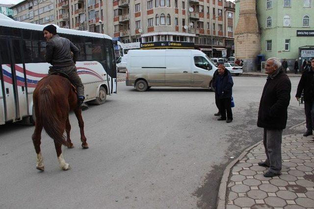 Trafik Çilesine Atlı Çözüm