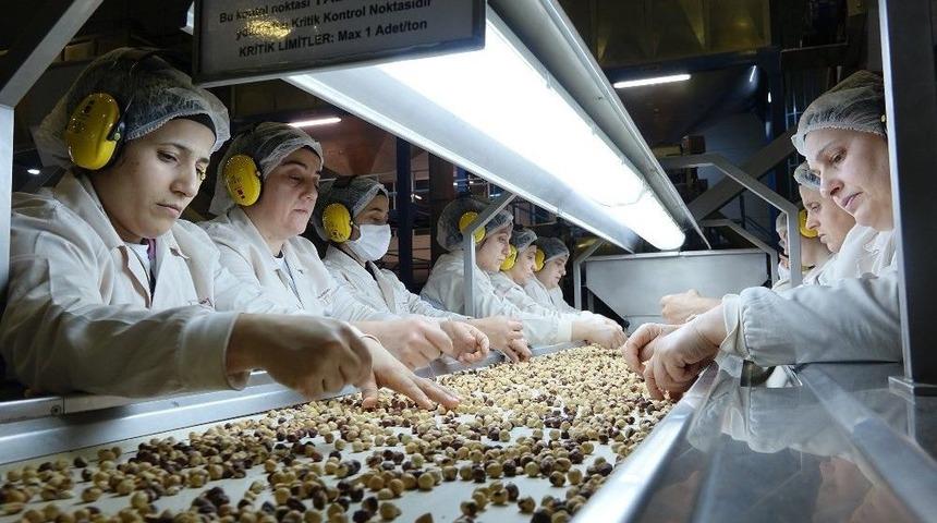 Arsin Osb&rsquo;ye Kadın Eli