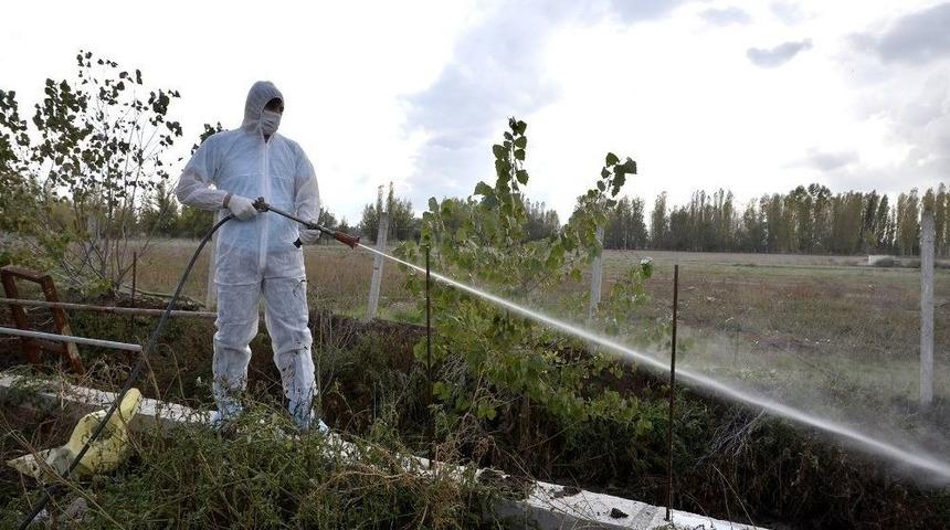 Haşere İle M&uuml;cadele &Ccedil;alışmaları