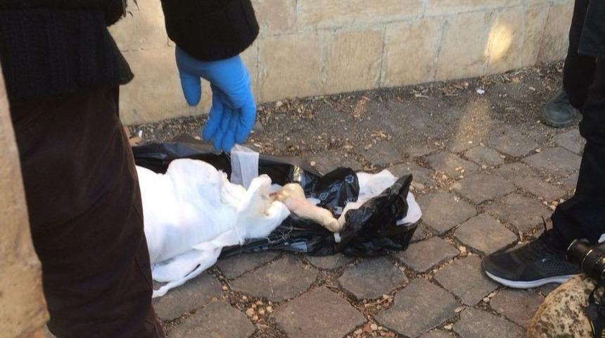 Cami Bah&ccedil;esinde Kesik Bacak Bulundu