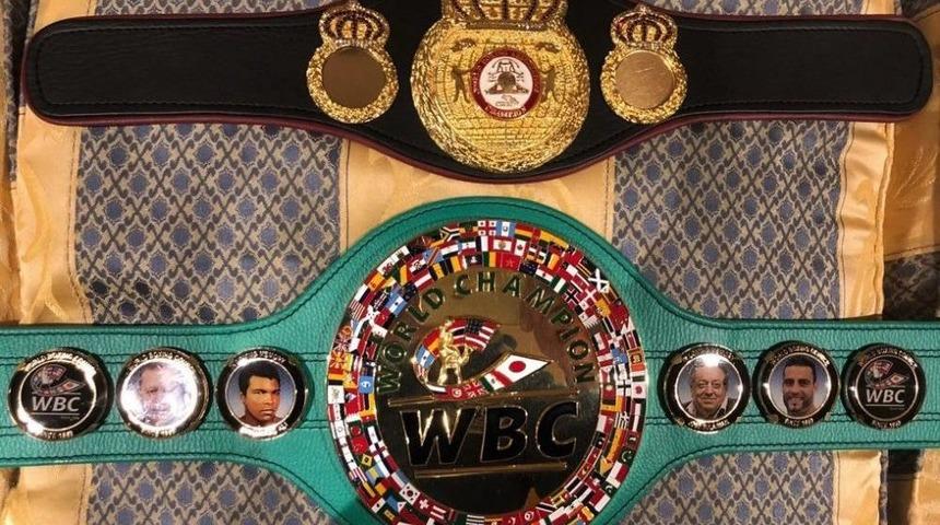 D&uuml;nya Boks Konseyi&rsquo;nden Tayyip Erdoğan&rsquo;a Barış &Ouml;d&uuml;l&uuml;