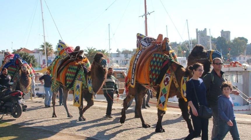 Develer Meydana İndi