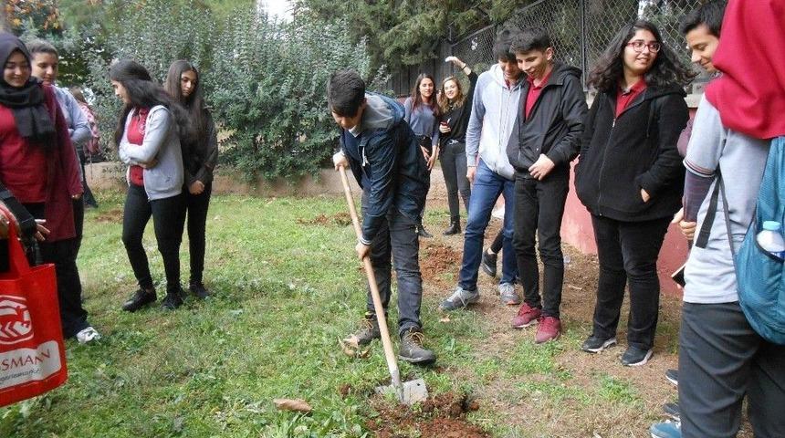 Muratpaşa&rsquo;dan Okul Bah&ccedil;elerini Ağa&ccedil;landırma Seferberliği