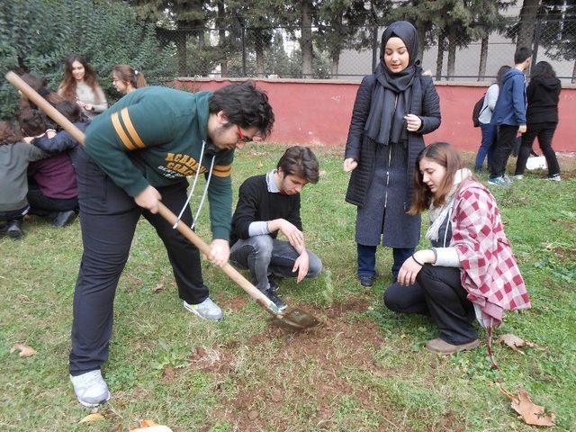 Muratpaşa’dan Okul Bahçelerini Ağaçlandırma Seferberliği