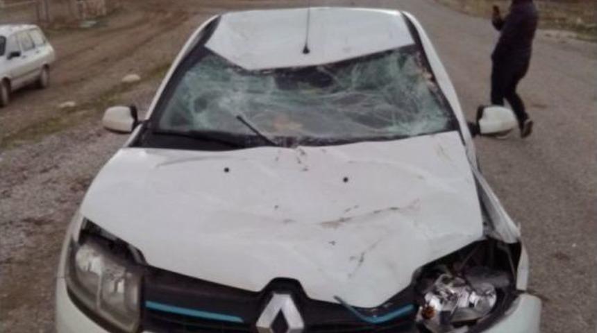 Otomobil &Uuml;zerinde Binicisi Olan Ata &Ccedil;arptı: 1 Yaralı