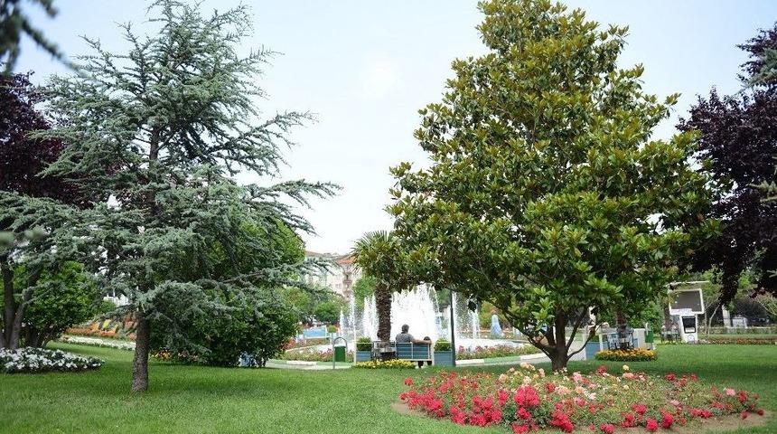 Yıldırım&rsquo;ın &Ccedil;ehresine &rsquo;yeşil&rsquo; Dokunuşlar