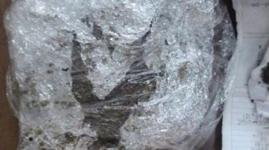 Uzman &Ccedil;avuş Esrar Taşırken Yakalandı