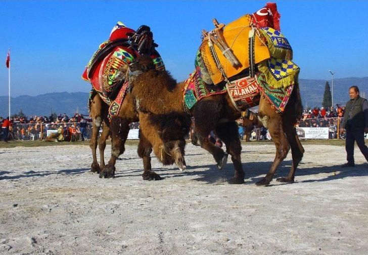 Develer Yılın İlk Güreşini İncirliova Arenası’nda Yaptı G4