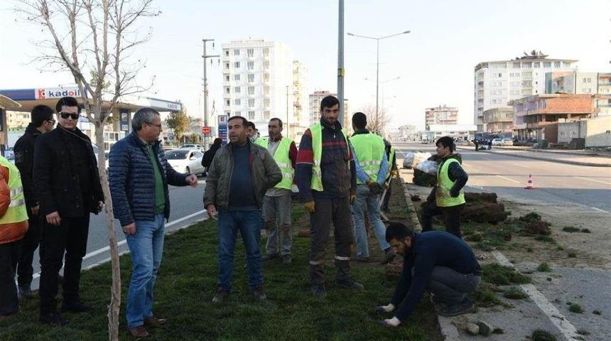 Vali Deniz Peyzaj &Ccedil;alışmalarını Yerinde İnceledi