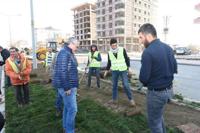 Vali Deniz Peyzaj Çalışmalarını Yerinde İnceledi