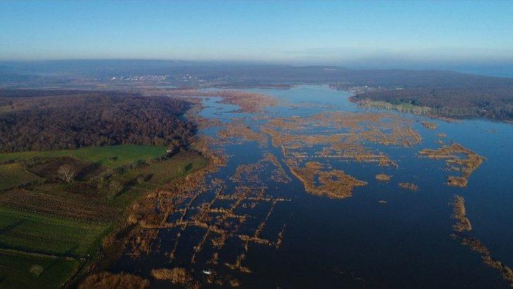 (özel) Kaçak Avcılara Yönelik Denetimler Sıklaştırıldı G1