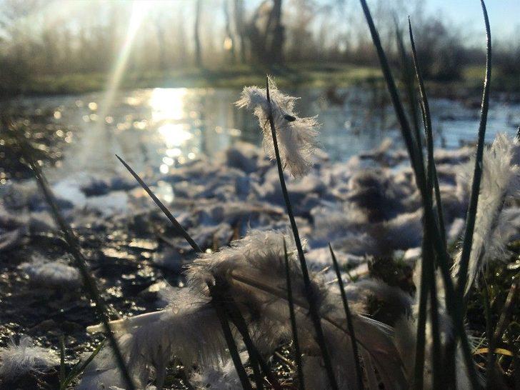 (özel) Kaçak Avcılara Yönelik Denetimler Sıklaştırıldı G3