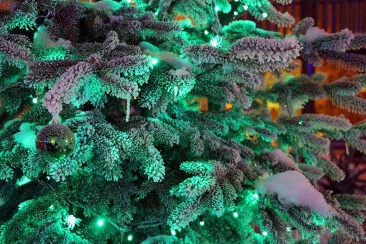 Göle Eksi 20 Derece, Camlar Buz Tuttu G3