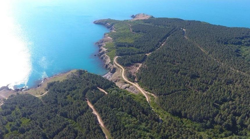 Sinop&rsquo;ta N&uuml;kleer Santral Kurulacak Alan Havadan G&ouml;r&uuml;nt&uuml;lendi
