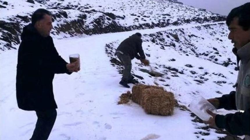 Aydın&rsquo;da Yaban Hayvanları İ&ccedil;in Yem Bırakıldı