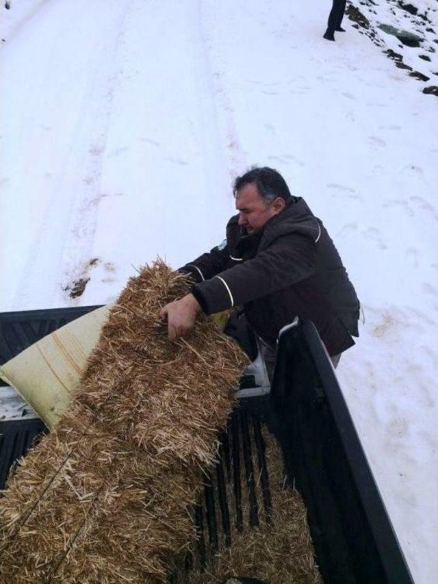 Aydın’da Yaban Hayvanları İçin Yem Bırakıldı